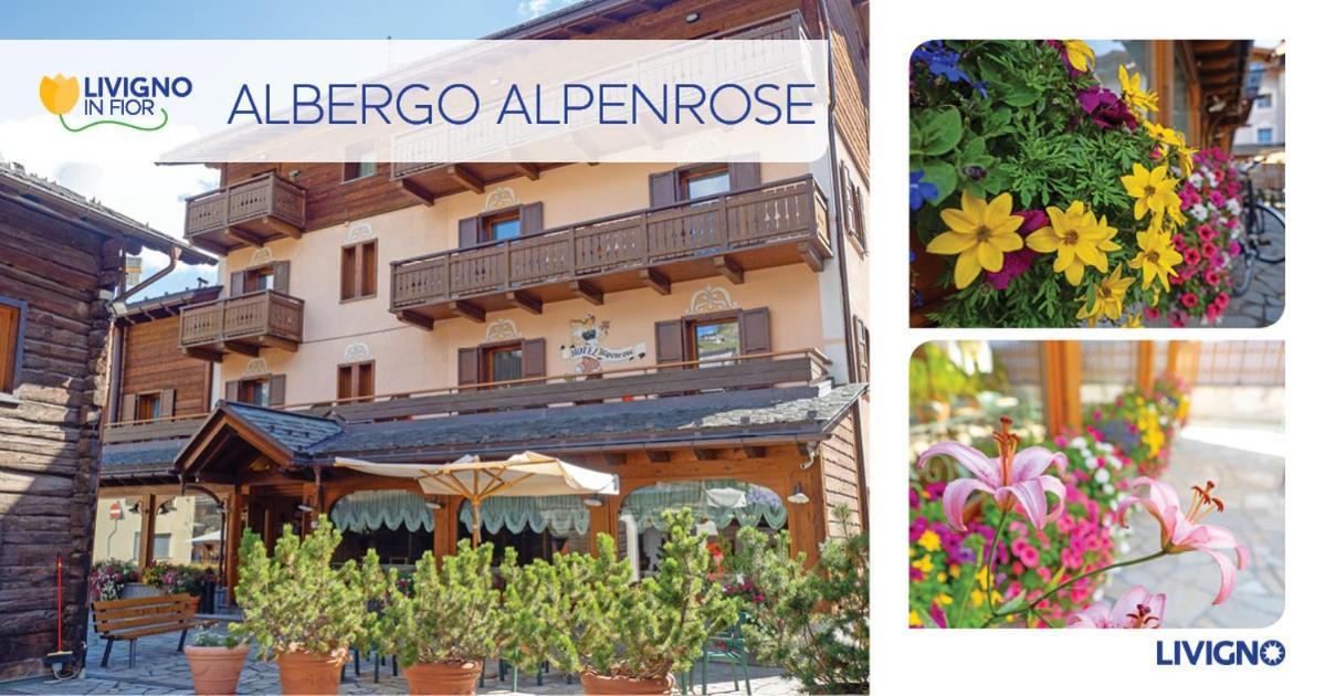Albergo Alpenrose Livigno Kültér fotó